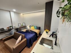 Serangoon Road (D8), Apartment #483087321